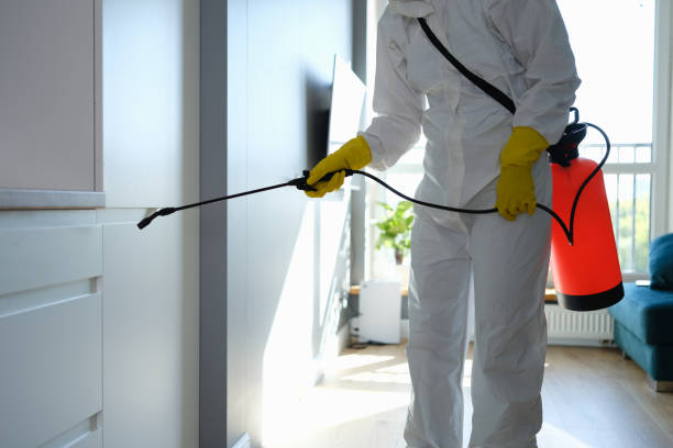 Best Toxic Mold Removal  in Croydon, PA