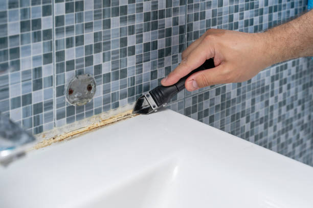 Best Same-Day Mold Removal  in Croydon, PA